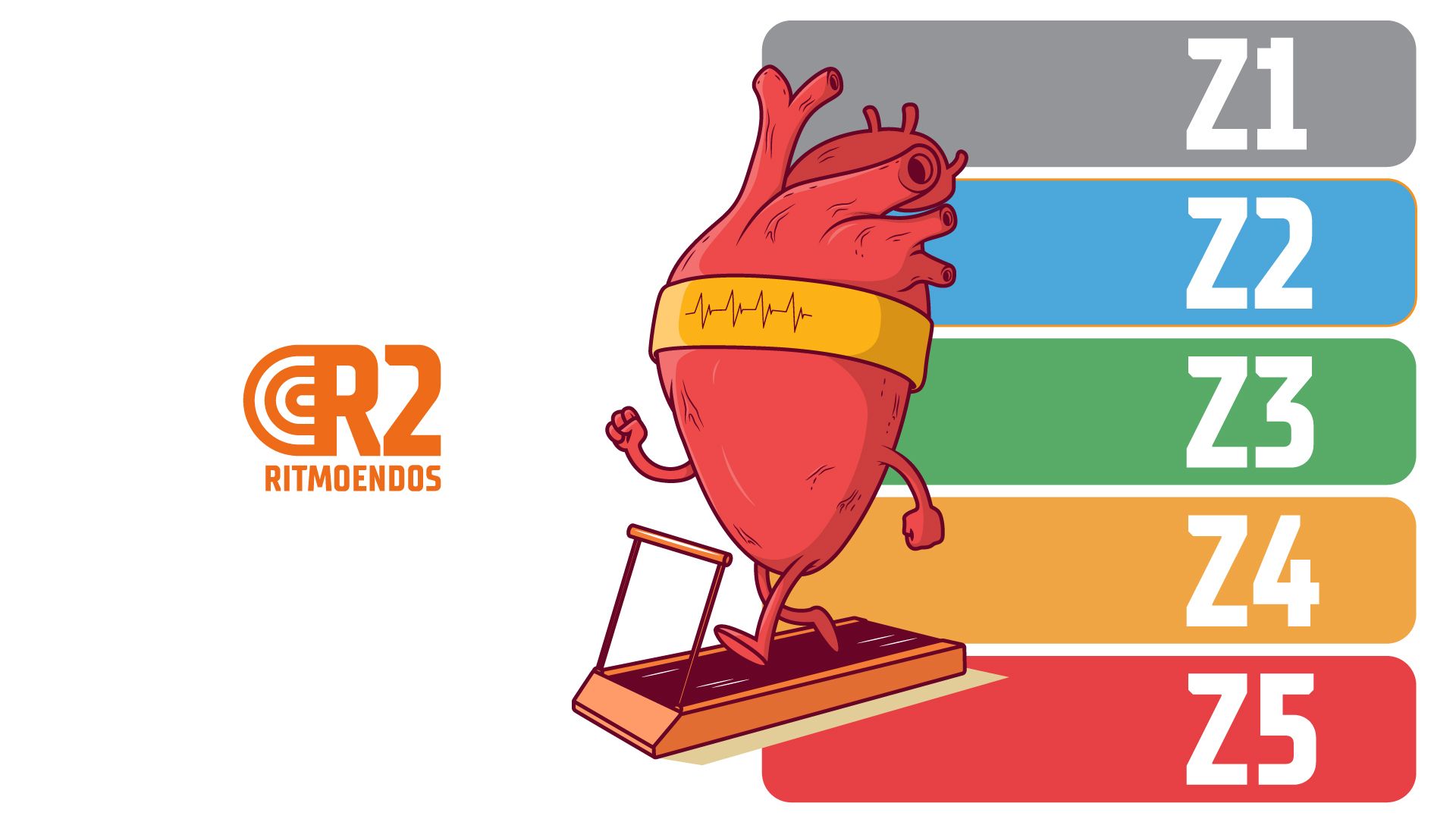 Las Zonas de Entrenamiento para Principiantes
